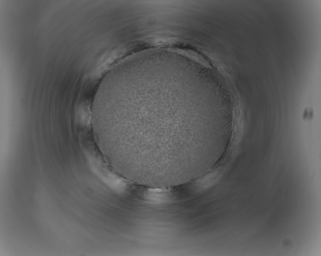 X0000113630240200910021859