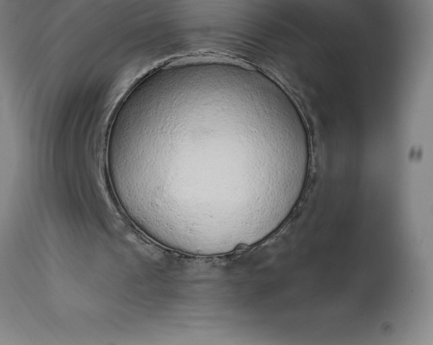 X0000113630241200910021858