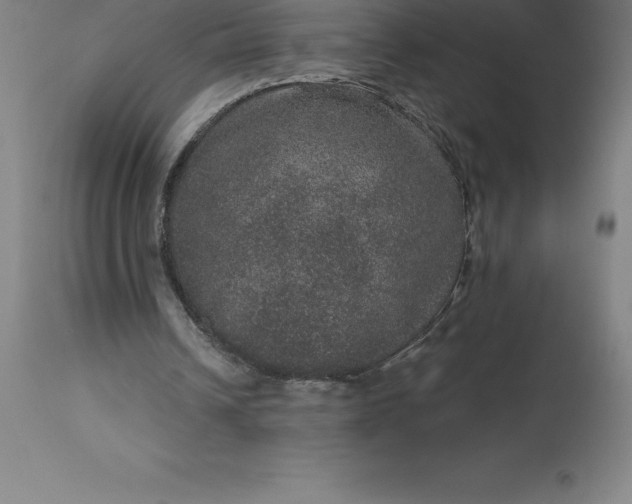 X0000113630242200910021858