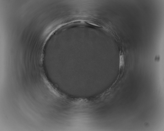 X0000113630243200910021858