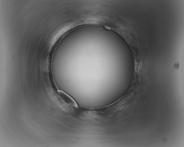 X0000113630244200910021858