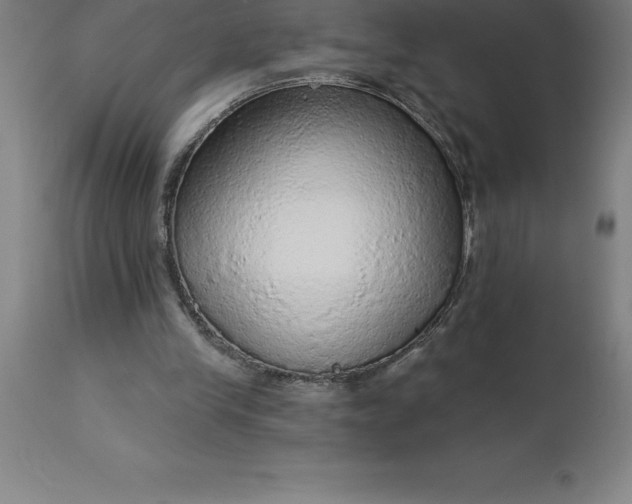 X0000113630245200910021858