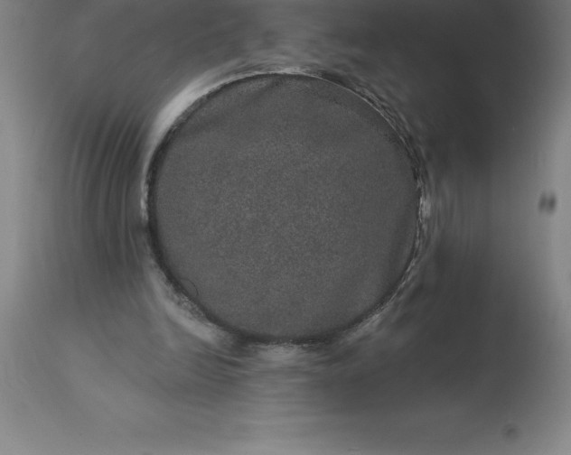 X0000113630246200910021858