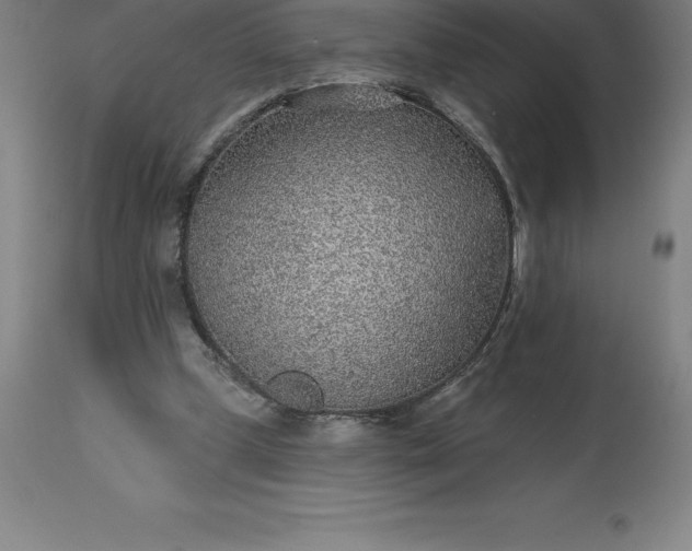 X0000113630249200910021858