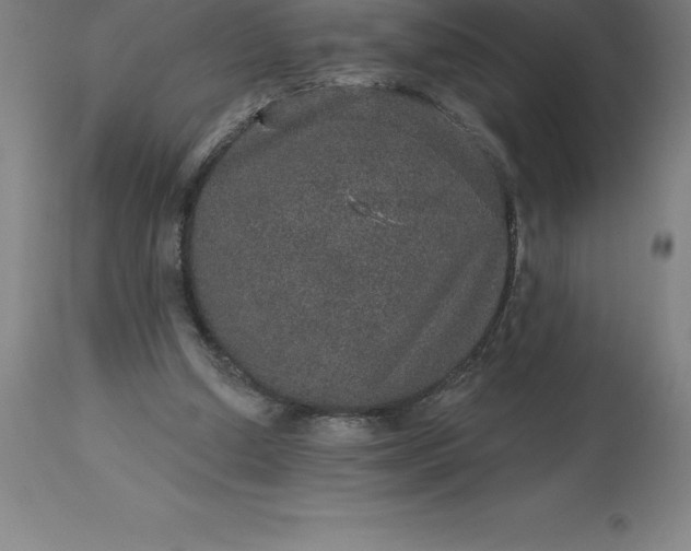 X0000113630250200910021858