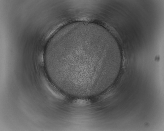 X0000113630251200910021858