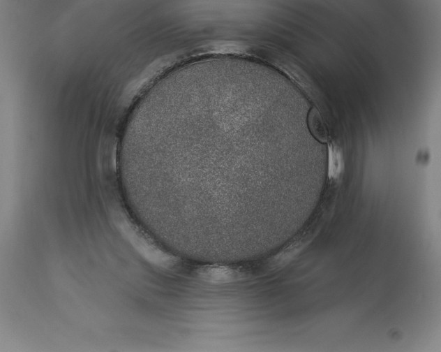 X0000113630253200910021858