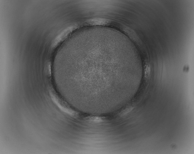 X0000113630254200910021858