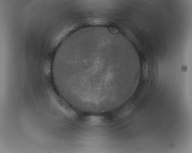 X0000113630255200910021859
