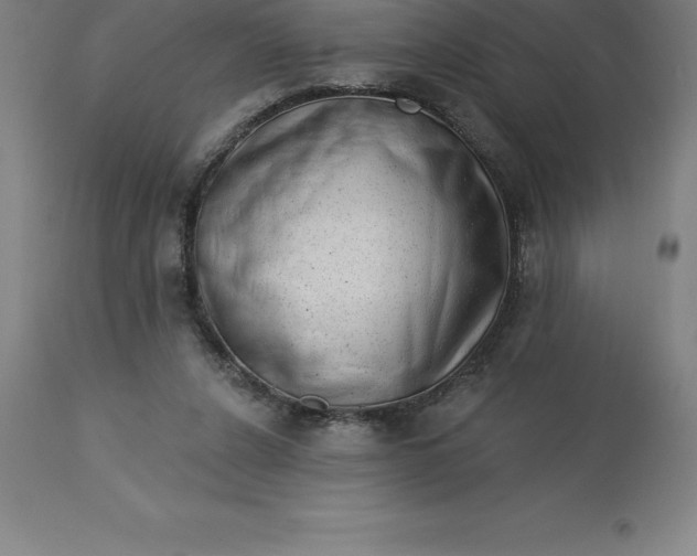 X0000113630256200910021859