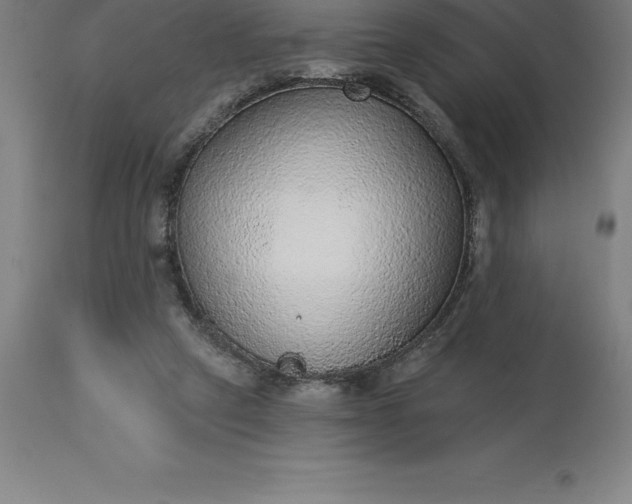 X0000113630257200910021859