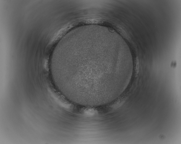 X0000113630258200910021859