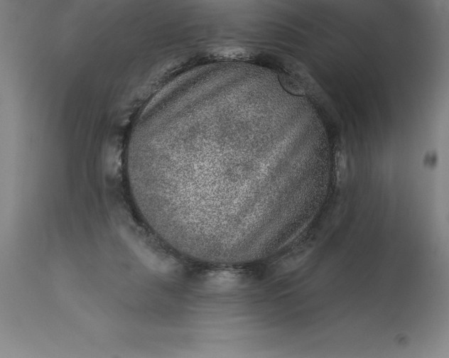 X0000113630259200910021859