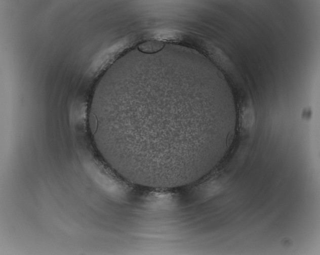 X0000113630260200910021859