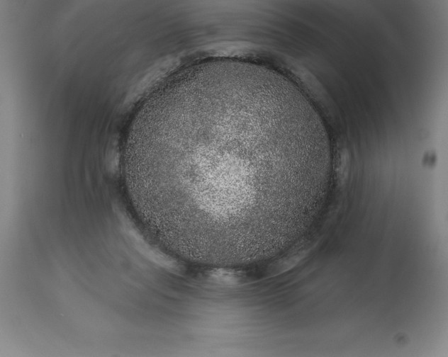 X0000113630261200910021859