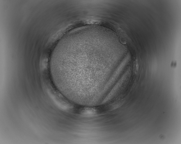 X0000113630263200910021859