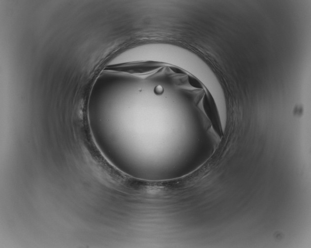 X0000113630264200910021859