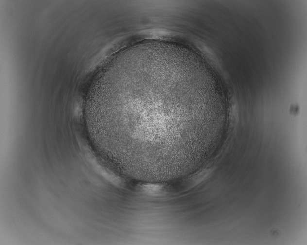 X0000113630265200910021859