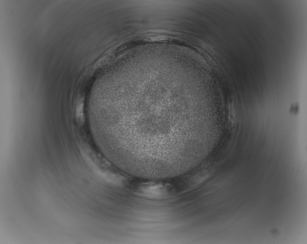 X0000113630267200910021859