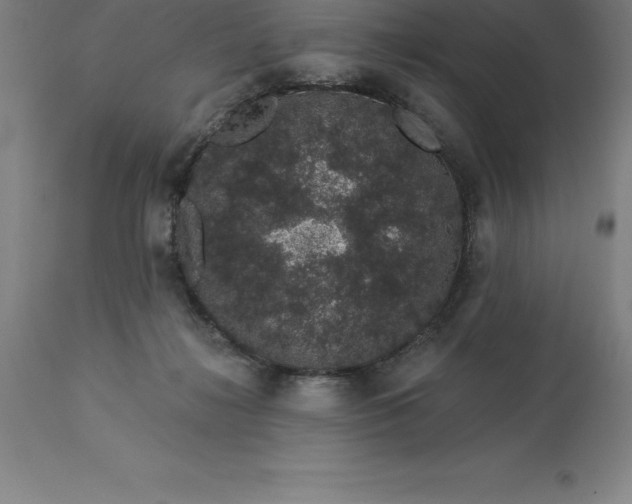 X0000113630268200910021859