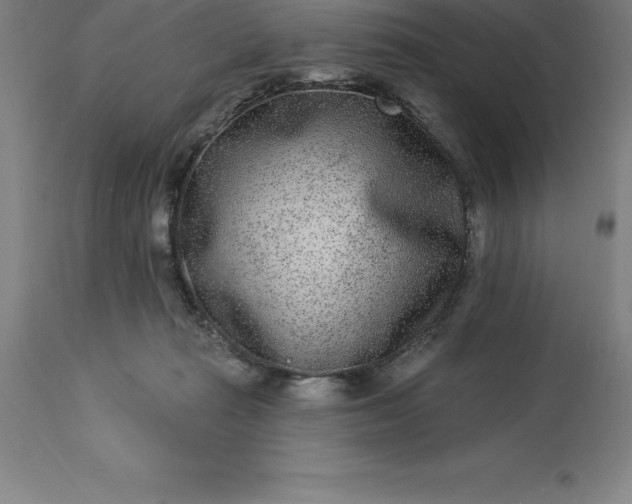 X0000113630269200910021859