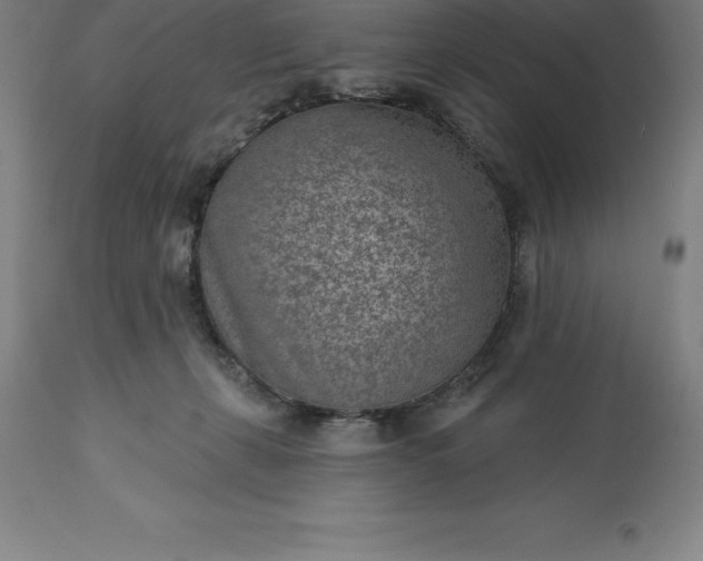 X0000113630271200910021859