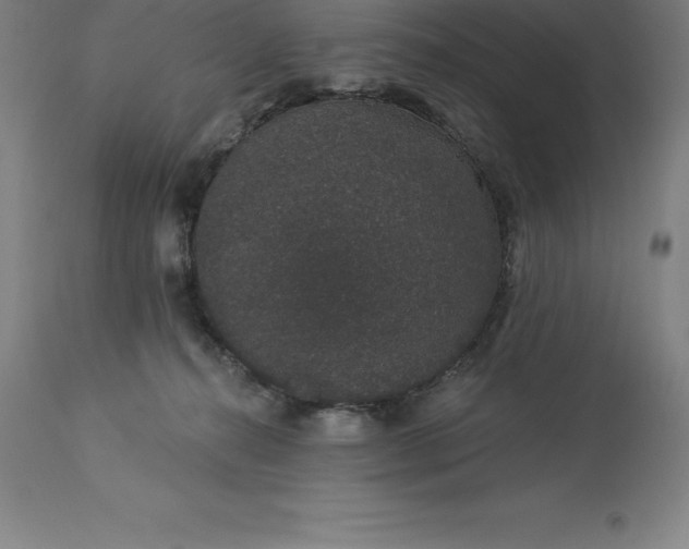 X0000113630272200910021859