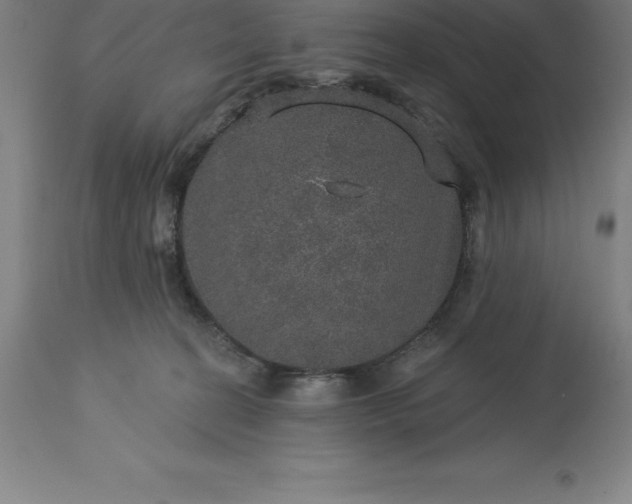 X0000113630274200910021859
