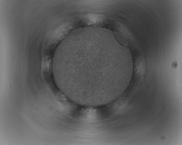 X0000113630276200910021859