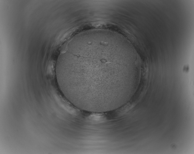 X0000113630280200910021859