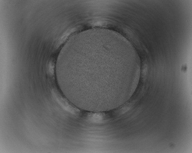 X0000113630282200910021859