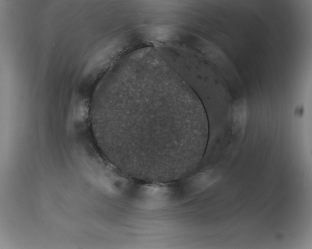 X0000113630284200910021859