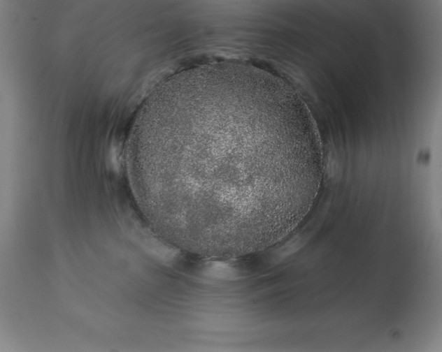 X0000113630285200910021859