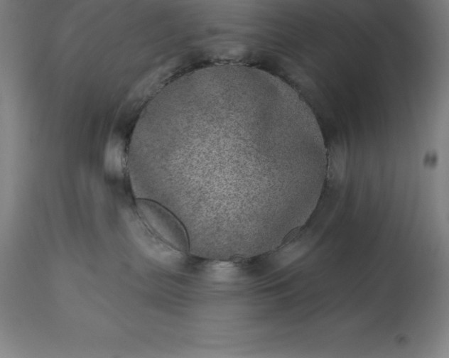 X0000113630287200910021859