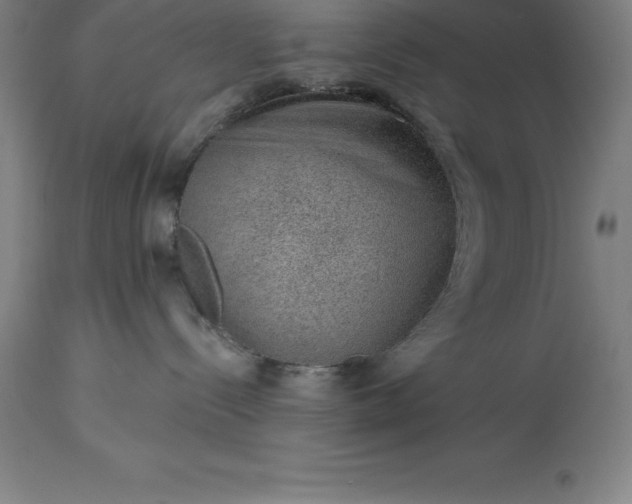 X0000113630288200910021859