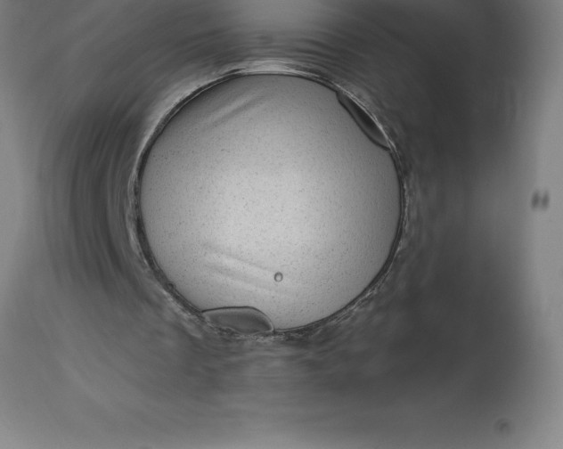 X0000113630289200910021858