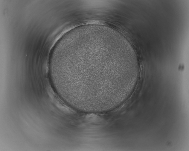 X0000113630290200910021858