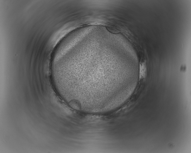 X0000113630291200910021858