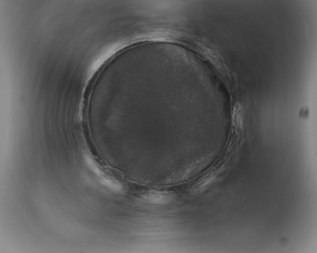 X0000113630292200910021858