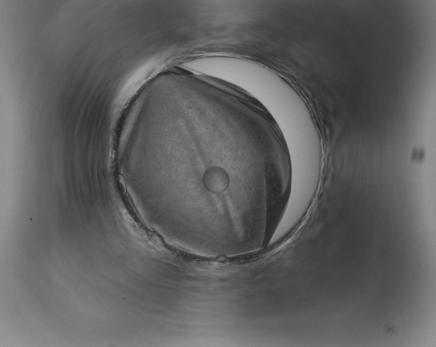 X0000113630293200910021858