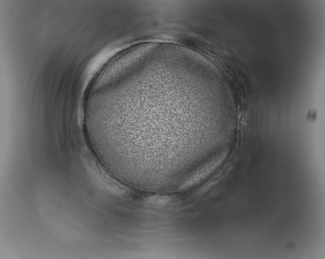 X0000113630294200910021858