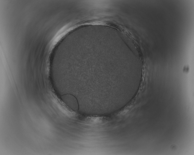 X0000113630295200910021858