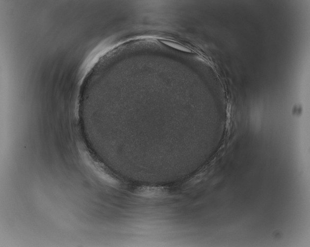 X0000113630296200910021858