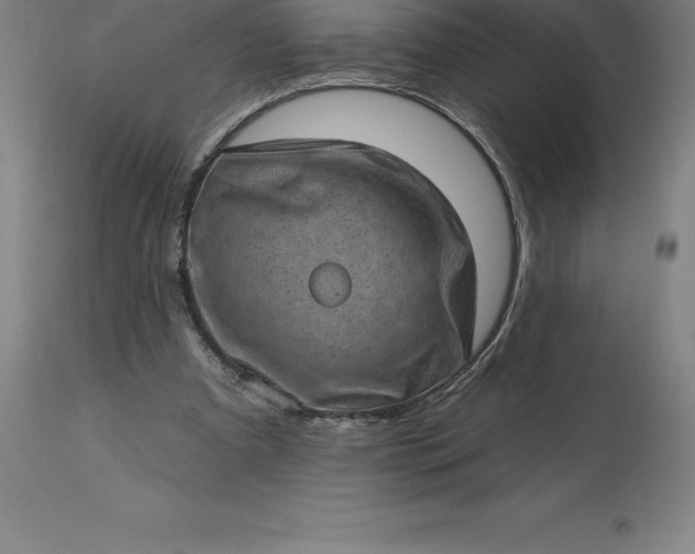 X0000113630297200910021858
