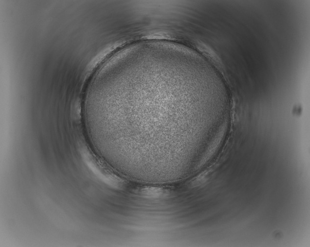 X0000113630298200910021858