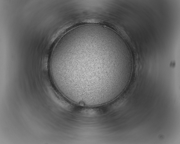 X0000113630299200910021858