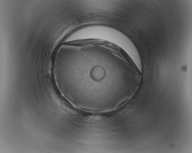X0000113630300200910021858