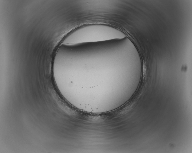 X0000113630301200910021858