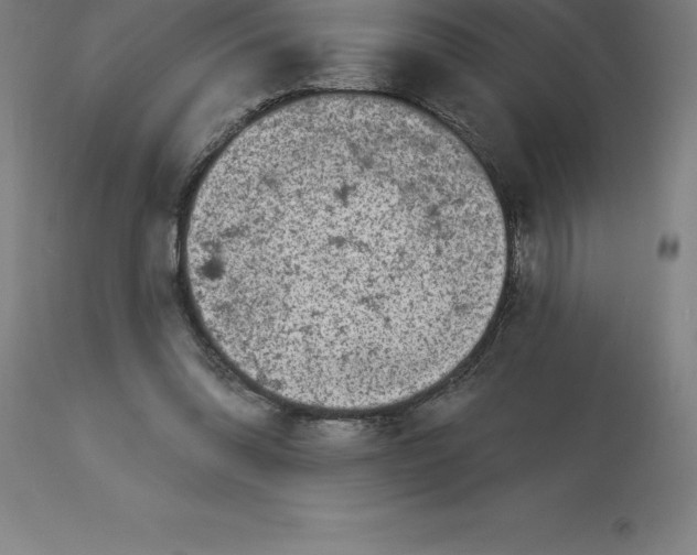 X0000113630302200910021858