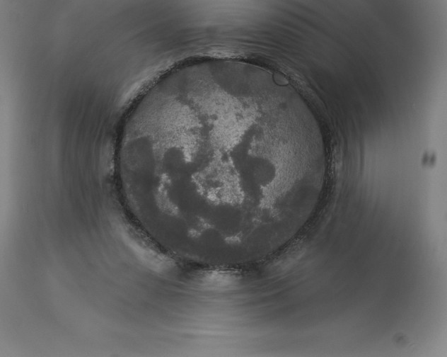 X0000113630303200910021858